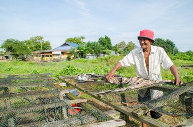 Kuantan, Malezya - 17 Kasım 2012: - kurutma kadın Kuantan, Malezya 17 Kasım 2012 balık. Balıkçılar köylüler Kuantan Köyü, Pahang için ana işgal vardır.
