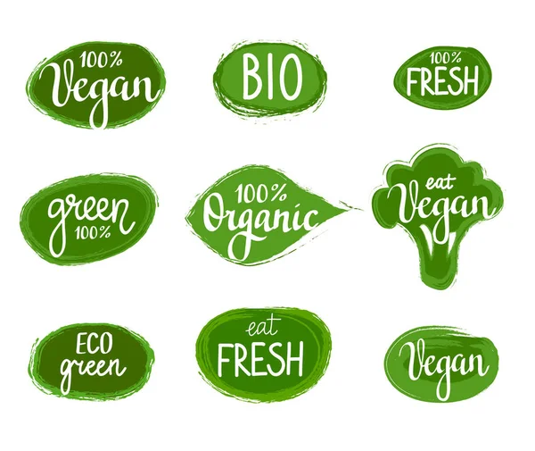 Vector lettering eco green nature organic vegan badges set — Stock Vector