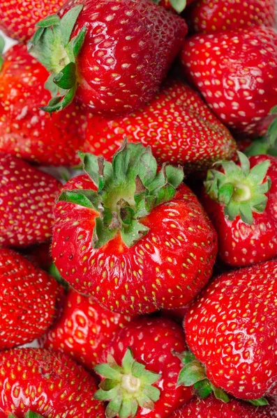 Gros plan d'un bol de fraises — Photo