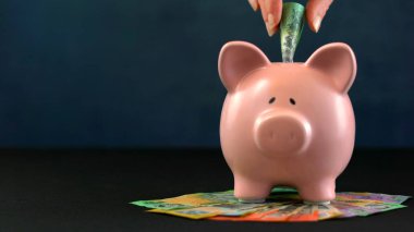 Pink Piggy bank money concept on dark blue background clipart