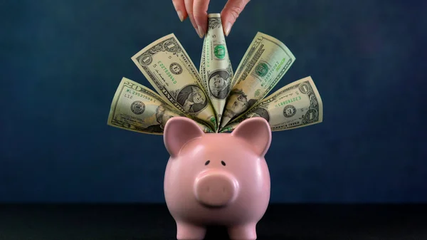 Pink Piggy bank money concept on dark blue background — Stock Photo, Image