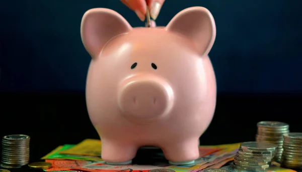 Koncepcja pieniądza Pink Piggy bank na ciemnym niebieskim tle — Zdjęcie stockowe