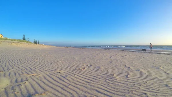 女の子の距離で歩いている犬のビーチ風景. — ストック写真