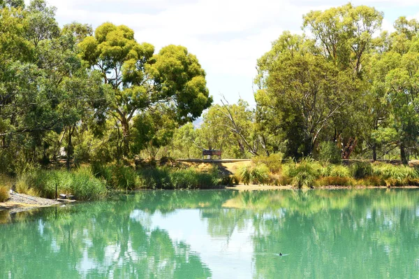 Australijski odkryty bushland ustawienie z dużym stawem — Zdjęcie stockowe