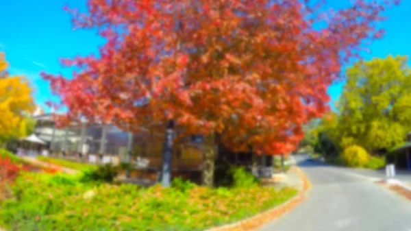 Fondo borroso de calle forrada de coloridos árboles otoñales . — Foto de Stock