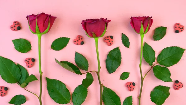 Red roses and candy lady bugs flat lay. — Stock Photo, Image