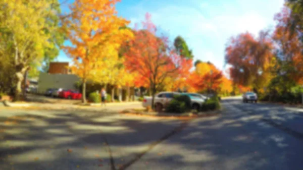 Fondo borroso de calle forrada de coloridos árboles otoñales . — Foto de Stock