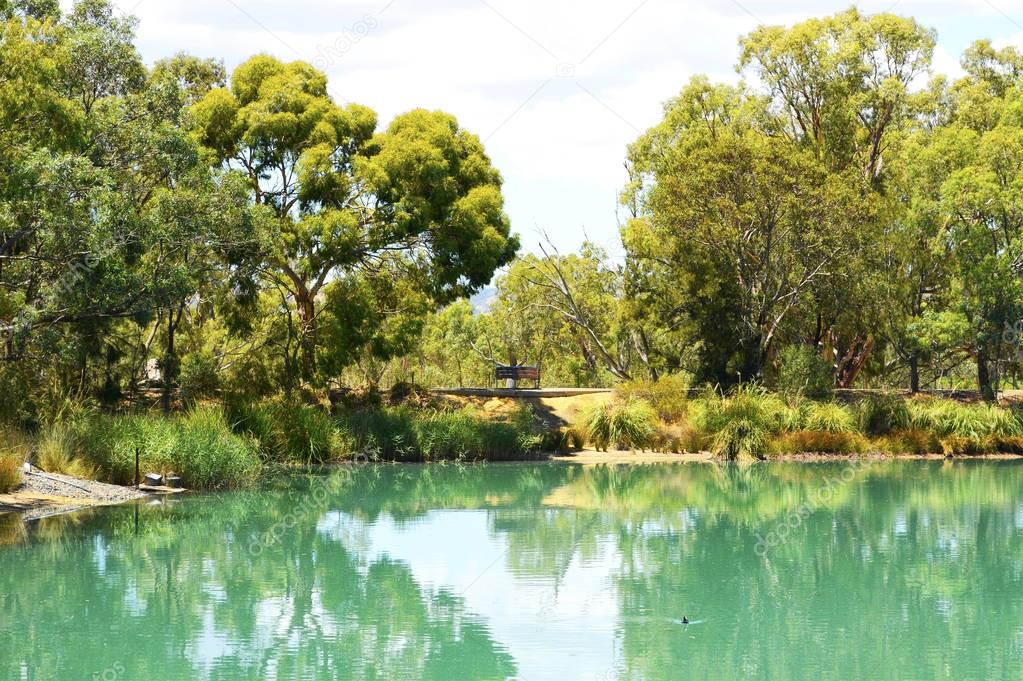 Australian outdoor bushland setting with large pond