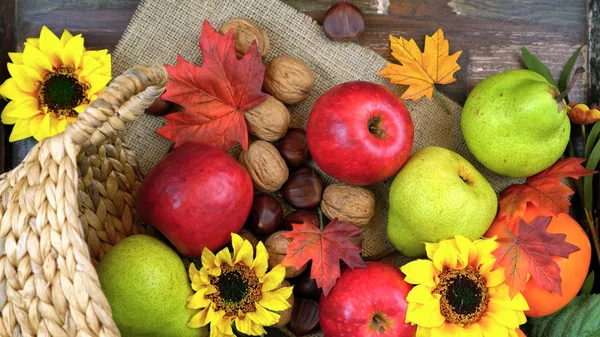 Herbst fällt über Kopf — Stockfoto