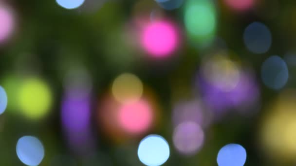お祝いクリスマス ライトの背景をぼかした写真. — ストック動画