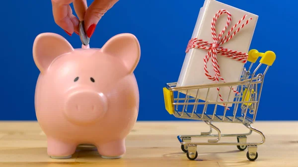 Particuliere spaarmarkt shopping concept met miniatuur winkelwagentje en piggy bank. — Stockfoto