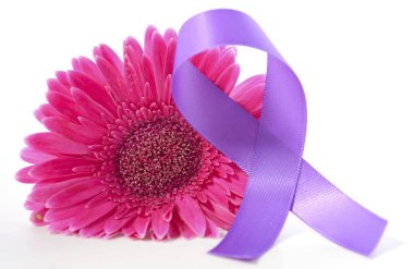 Uluslararası Kadınlar Günü pembe gerbera sembolik mor kurdele ile
