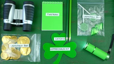 St Patricks Günü yakalamak bir masal cini seti düz genel gider yatıyordu.