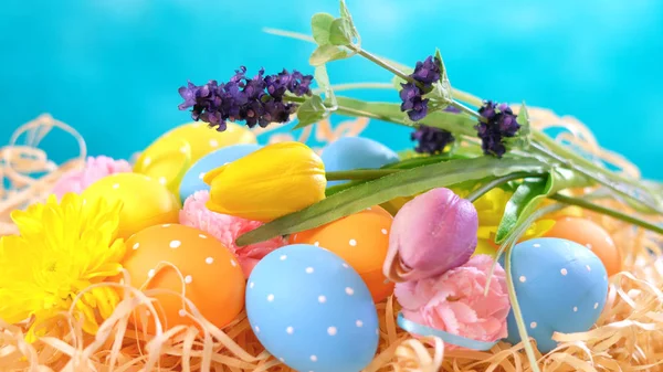 Счастливые пасхальные украшения, яйца и весенние цветы — стоковое фото