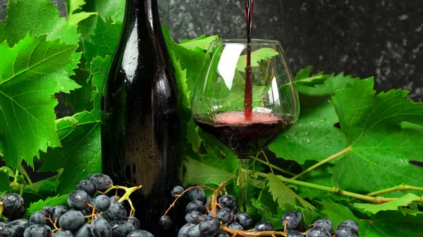 Bouteille de peau propre et verre de vin rouge premium en dégustation de vin . — Photo