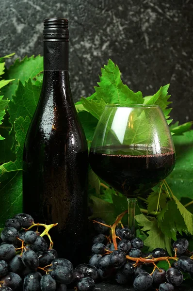 Bouteille de peau propre et verre de vin rouge premium en dégustation de vin . — Photo