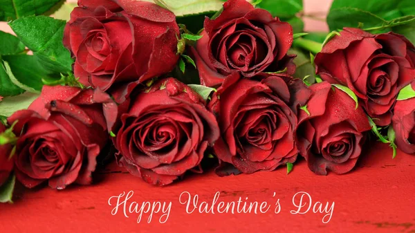 Valentines Day gift of red roses macro closup on red wood background. — Stock Photo, Image