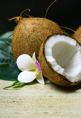 Hindistancevizi ve frangipani çiçekleri siyah bir arkaplanda belirdi.