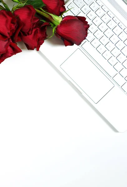 Stylish feminine desk coffee break with high tech touchscreen laptop — Stockfoto