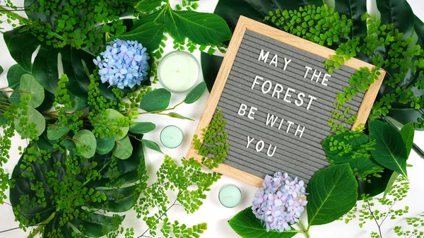 5 월 숲 과 함께 당신의 메시지와 함께 멋진 환경 편지 보드 컨셉트. — 스톡 사진