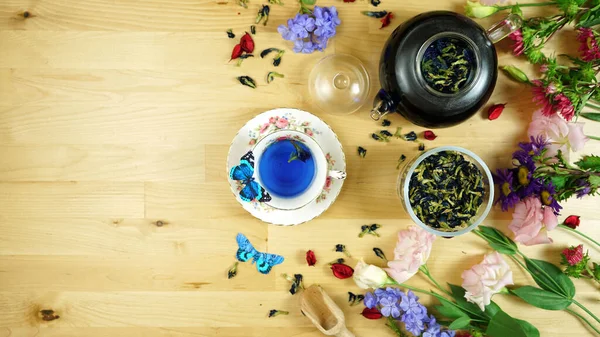 Blue Butterfly Pea Flower caffeine-free herbal tea creative concept layout. — Stock Photo, Image