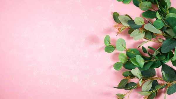Eukaliptusowa guma pozostawia na teksturowanym różowym tle minimalizm twórczy układ. — Zdjęcie stockowe