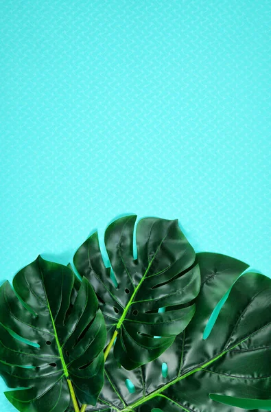 Tropische Monstera Blätter auf blauem Hintergrund Minimalismus kreatives Layout. — Stockfoto