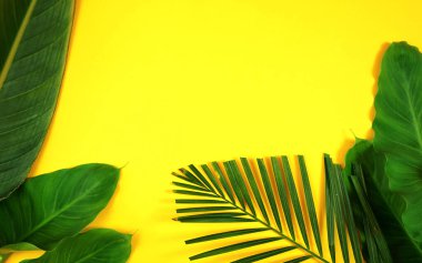Tropikal yapraklarla bembeyaz bir yaz yatıyordu, parlak sarı arka planda palmiye yaprakları