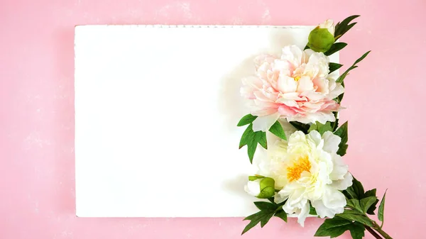 Pink and white peony flowers decorated border on modern pink textured background — Stock Photo, Image