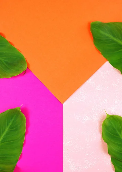 Color Blocking Flach lag mit Blättern auf orangefarbenem, blassem und leuchtend rosa Hintergrund. — Stockfoto