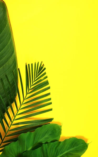 Летняя квартира лежала с листьями, пальмовыми листьями на ярко-желтом фоне — стоковое фото