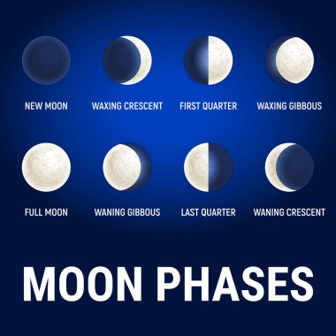 Moon phases illustration, celestial space planet poster background. Astrology poster. Vector illustration. Full Moon surface background. clipart