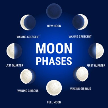 Moon phases illustration, celestial space planet poster background. Astrology poster. Vector illustration. Full Moon surface background. clipart