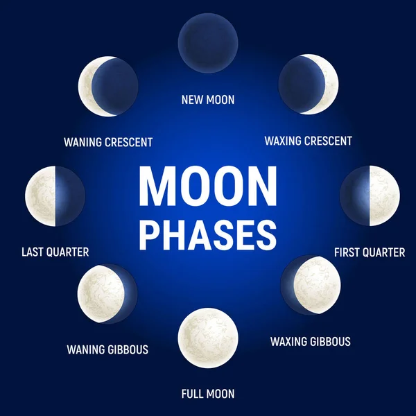 Hold Fázisok Illusztráció Égi Űrbolygó Poszter Háttér Asztrológiai Poszter Vektor — Stock Vector