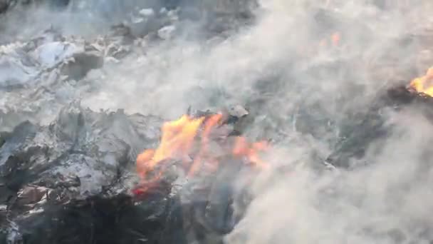 Slow Motion Echte Fire Flames Ontvlammend Brandend Een Zwarte Achtergrond — Stockvideo