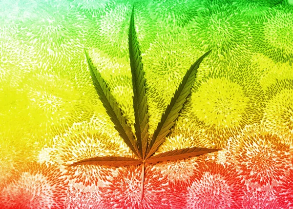 Hojas Cannabis Abstracto Arco Iris Colorido Fondo Arte Para Fondo —  Fotos de Stock