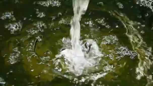 Eau Écoule Tuyau Ferme Hydroponique Système Égouts — Video