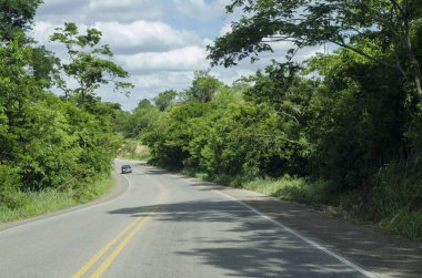 Asfalt yolunun faytonlu manzarası