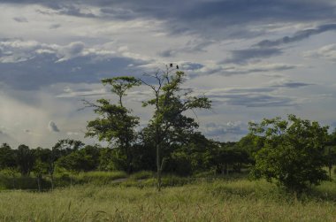 Manzara manzarası ve yağmur bulutları