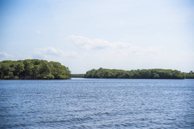 Nil Nehri Uganda, Jinja 'da Victoria Gölü' nden ayrılıyor. Beyaz Nil 'in ana kaynağı olarak kabul edilir.