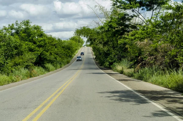 Scenic View Asphalt Road Carriage — 스톡 사진