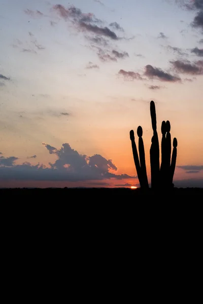 Schilderachtig Uitzicht Prachtige Zonsondergang Woestijn — Stockfoto