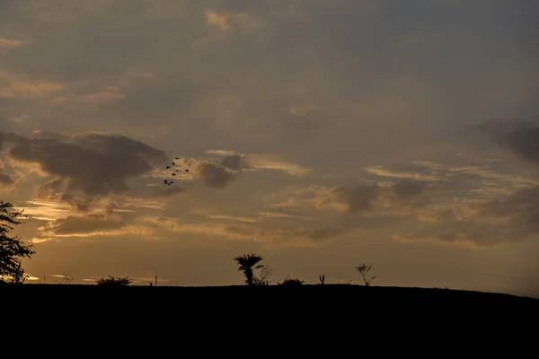 Schilderachtig Uitzicht Zonsondergang Lucht Met Wolken — Stockfoto