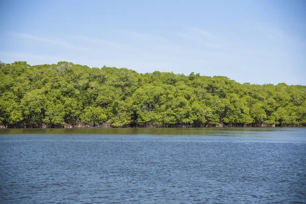 Nehir ve mavi gökyüzü manzaralı göl
