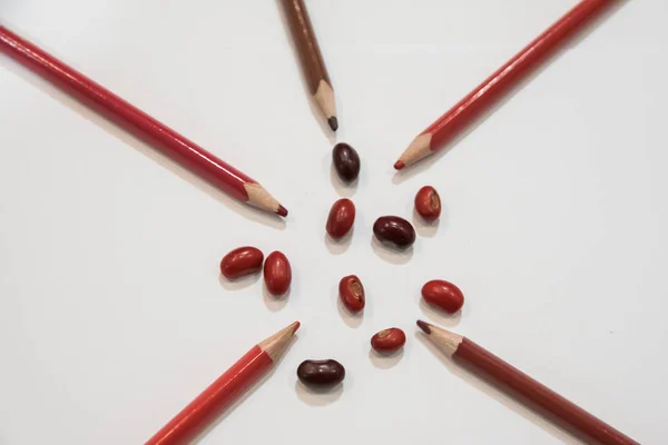 Closeup View Colorful Pencils White Background Beans — Stock Photo, Image