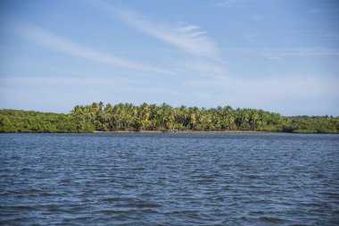 Göl ve nehir manzarası. Orman ve su