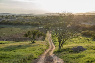 Gün batımlı manzara manzarası
