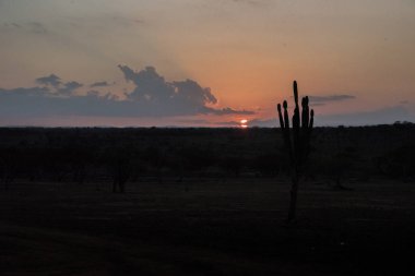 Çölde güzel bir gün batımı manzarası.  
