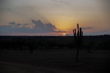 Çölde güzel bir gün batımı manzarası.  