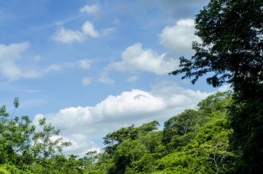 Manzaralı mavi gökyüzü ve bol yeşil bitki örtüsü